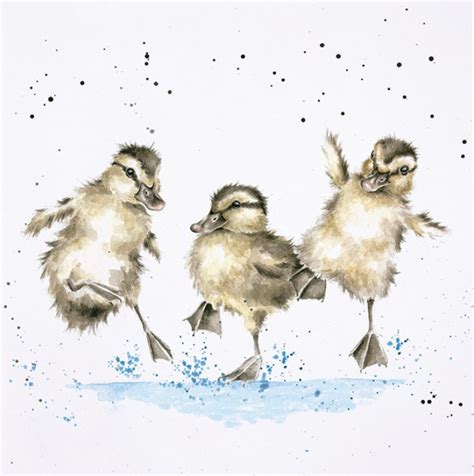 Wildlife Aid Foundation Wrendale ‘puddle Ducks Card