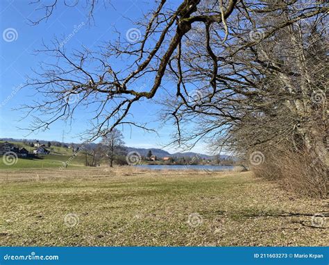 Natural Landscape With Early Spring Pastures And Mixed Forests In The
