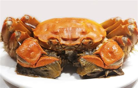Chinese Mitten Crab Traditional Crab Dish From Shanghai China