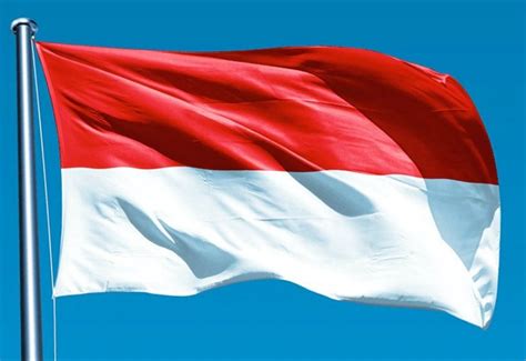 Gambar Mewarnai Gambar Sketsa Bendera Negara Indonesia Merah Putih Flag