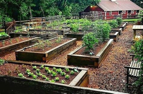 40 Inspiring Vegetable Garden Design For Your Backyard
