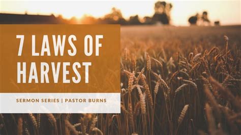Sermon Series The 7 Laws Of Harvest Kitchener Baptist Church