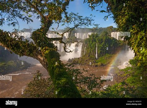 Rainbow Over Iguacu Falls Largest Waterfalls In The World Iguacu
