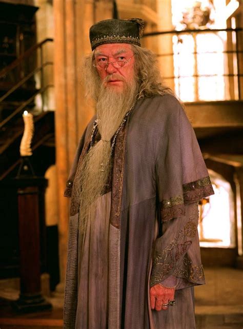 25 Best Images About Dumbledore Costume Ideas On Pinterest Goblet Of