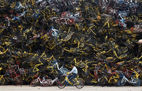 Bike Sharing Bandwagon Or Tragedy Of The Commons Earthdecks