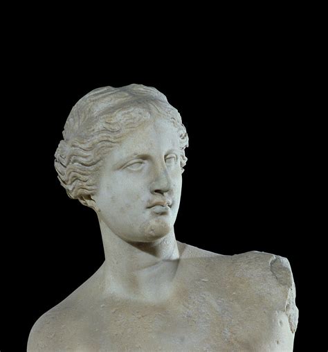 Head Of The Venus De Milo Sculpture By Greek School Fine Art America