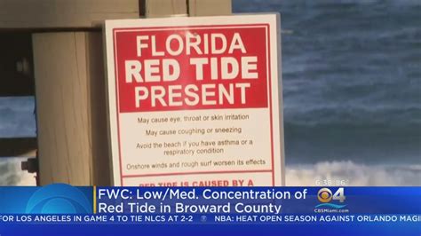 Red Tide Warning Signs Posted On Deerfield Beach Youtube