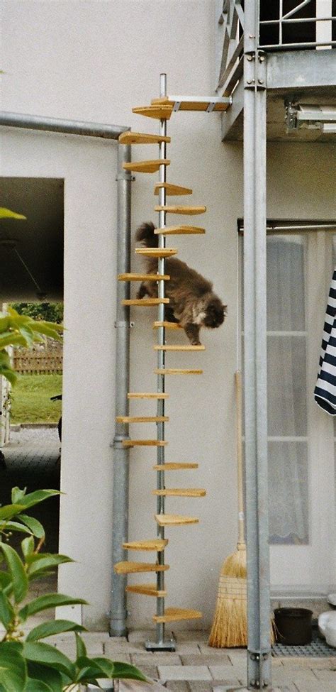 10 Best Cat Ladder Images On Pinterest Pets Cat Ladders