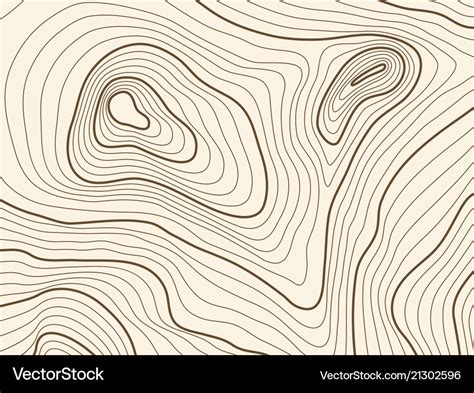 Topographic Map Background Of Mountain Terrain Vector Image