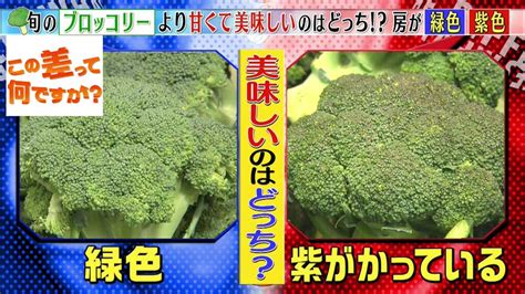 新しいクリエイティブプロジェクトの魅力を高める、高解像度かつロイヤルティフリーの画像やアセットが見つかります。 すべて creative cloud アプリ内から利用できます。 【冬が旬】美味しい「白菜」と「ブロッコリー」の見分け方 ...