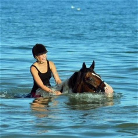 Horse Riding Experiences Near Me Into The Blue