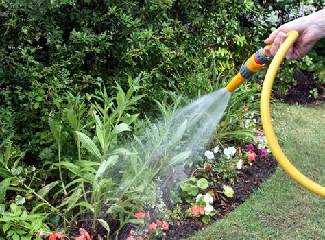 Garden Watering Free Photo Download Freeimages