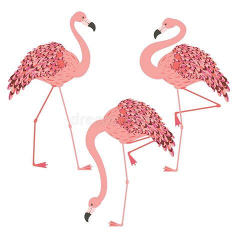 Pink Flamingo Design Stock Vector Illustration Of Beautiful 151706259