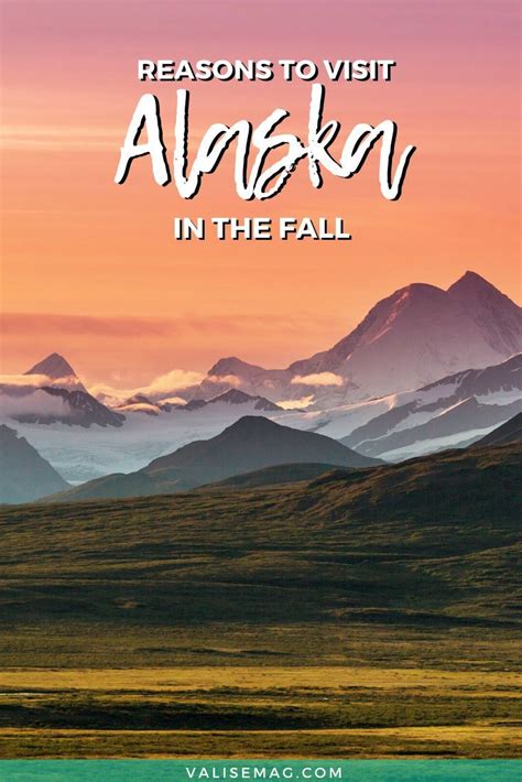5 Reasons To Visit Alaska In The Fall Alaska Travel Cruise Alaska