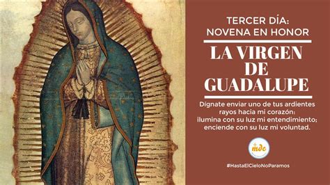 Novena a la virgen de Guadalupe día 3 La Luz de la Religión