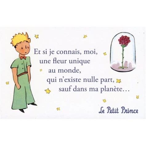 26 Best Le Petit Prince Images On Pinterest Little Princess The Little Prince And Il Piccolo