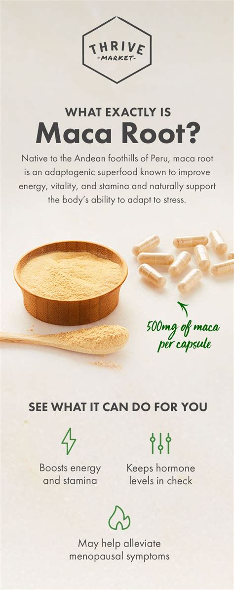 maca benefits what is maca and how should i use it maca benefits health food food