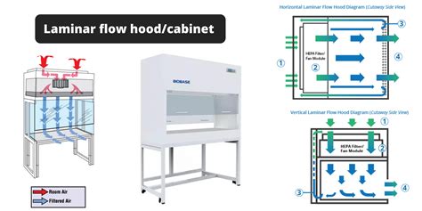 Laminar Flow Hood Vs Biosafety Cabinet Violet Withy
