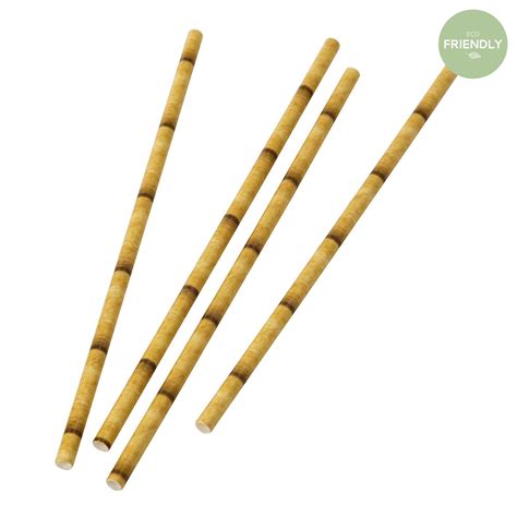Bamboo Paper Straws Eco Paper Party Supplies The Original Party Bag