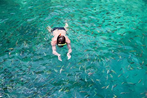 10 Best Snorkelling Spots In Phi Phi Where To Snorkel Around Koh Phi