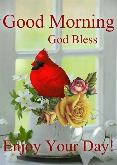 Good Morning God Bless Your Day Pictures Photos And