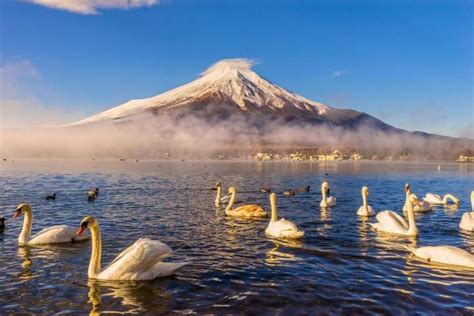 Tripnstay 10 Most Beautiful Lakes In Japan That Gives A Nature A