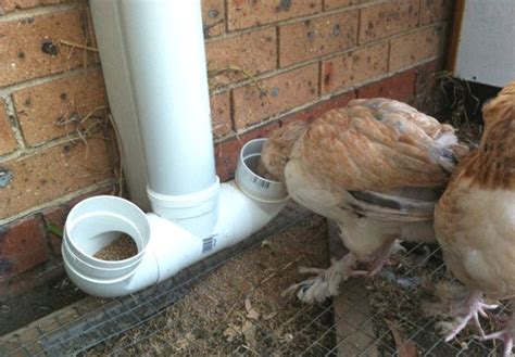 15 Diy Chicken Waterer And Feeders You Can Make With Pictures Pet Keen