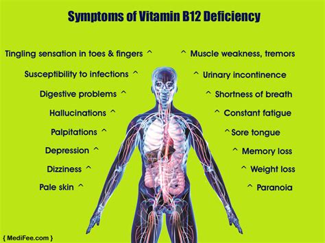 Symptoms Of Vitamin B Deficiency By Medifee Digestion Problems