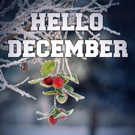 Hello December Hello December December Images December Quotes And