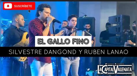 Silvestre Dangond Y Ruben Lanao El Gallo Viejo En Vivo Youtube