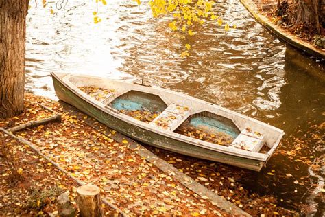 Boat In A Lake In Autumn Park Stock Photo Image Of Canopy Background