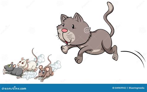 Gray Kitten Chasing Mouse Stock Vector Illustration Of Path 84969942