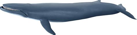Papo Blue Whale 56037 1 Butikker Se Bedste Pris Nu