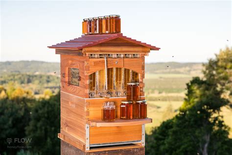 Subscribe to our email list for exclusive offers and dining updates! Flow Hive : récoltez du miel à la source - Blog Noova - Le ...