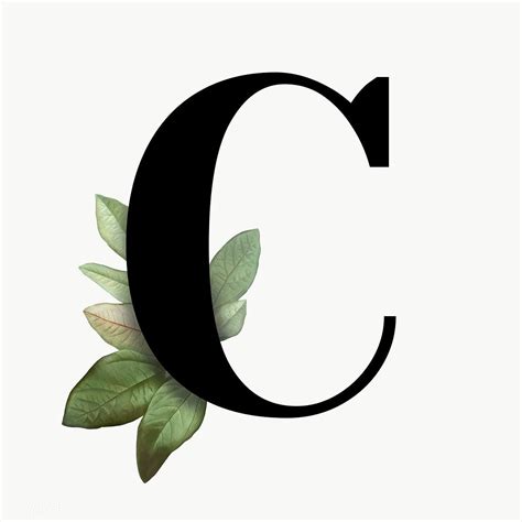 Botanical Capital Letter C Transparent Png Premium Image By Rawpixel