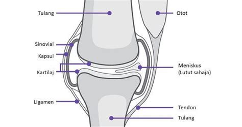 Penyebab Lutut Sakit Di Usia Muda Punca Dan Rawatan