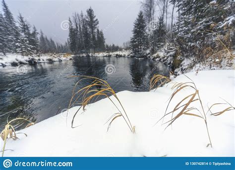 First Snowfall On The Taiga Siberian River Stock Photo Image Of Cold