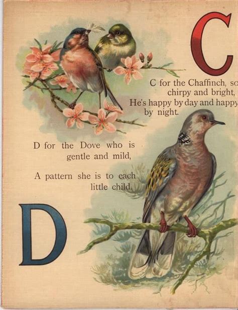Dear Dickies Abc Illustration Vintage Cards Abc