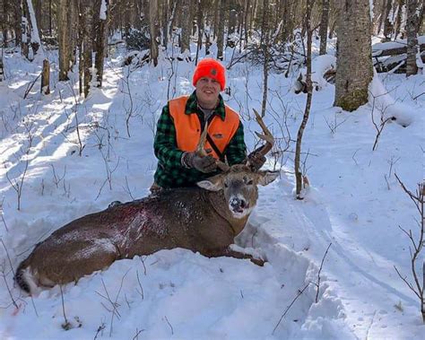 Trophy Whitetail Deer Hunting Outfitters In Maine Allagash Guide Service