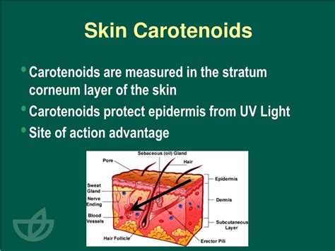 Ppt Assessment Of Human Carotenoid Status Using Raman Spectroscopy