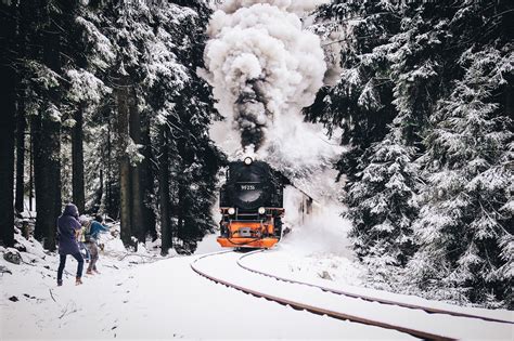 Train Traveling Through Snowy Forest
