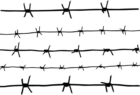 Barbed Wire Png Transparent Image Download Size 1998x1358px