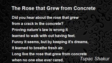 Tupac Shakur Poetry The Rose That Grew From Concrete