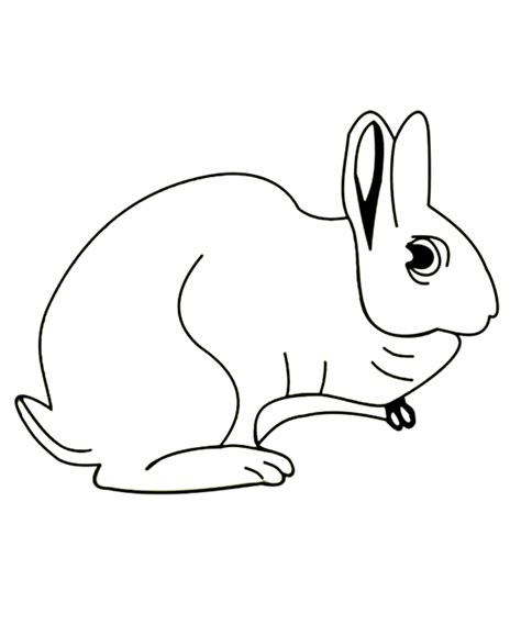Hare Coloring Pages Kidsuki