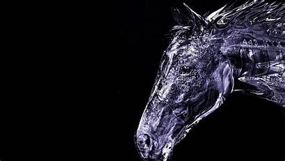 Horse Wallpapers Cool 3d Backgrounds Pc Animals