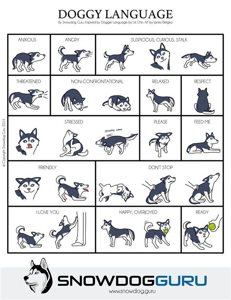 Printable Dog Body Language Chart Web While Dogs Cannot Speak They Do
