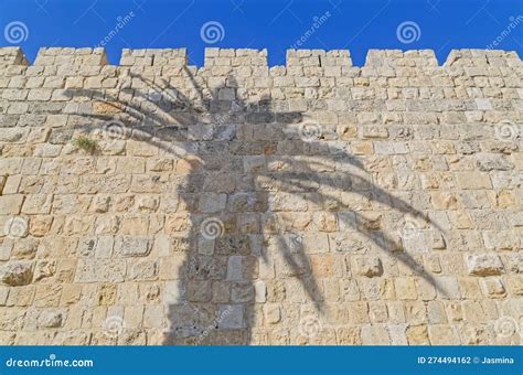 City Walls With Palm Tree Shadow In Jerusalem Israel Stock Photo