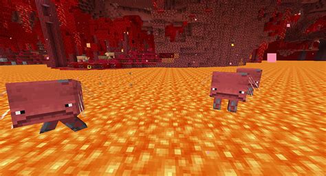 A Guide To The Modern Nether Oneblock Mc