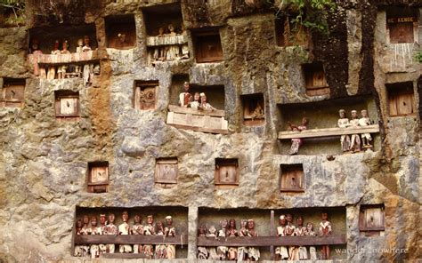 Embark On This 3 Day Tana Toraja Tour To The Village Of Dead