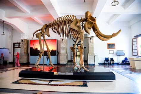 The geological museum (originally the museum of practical geology, started in 1835)1 is one of the oldest single science museums in the world and now part of the natural history museum in. 50 MIND-BLOWING MUSEUMS TO VISIT IN YOUR SOUTHEAST ASIA TOUR